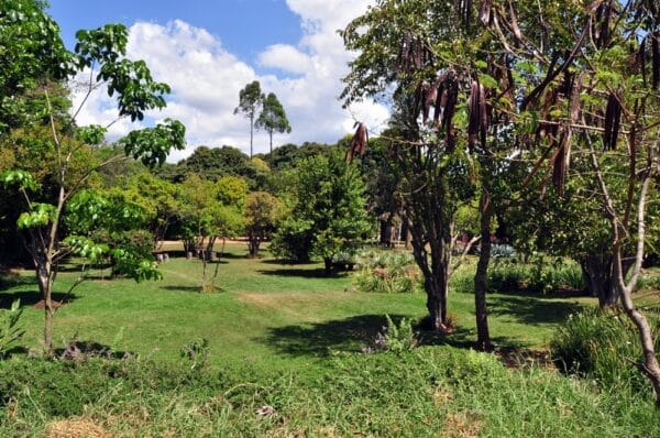 Parque Ecológico Roberto Burle Marx - Parque das Águas