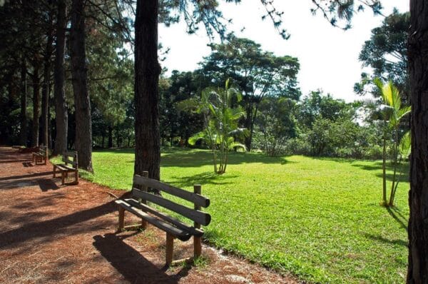 Parque Jacques Cousteau