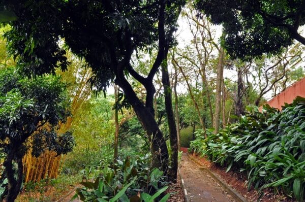 Parque Mosteiro Tom Jobim